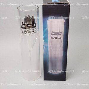 Backstreet Boys Champagne Flute / Into the Millennium Vegas Residency 2026